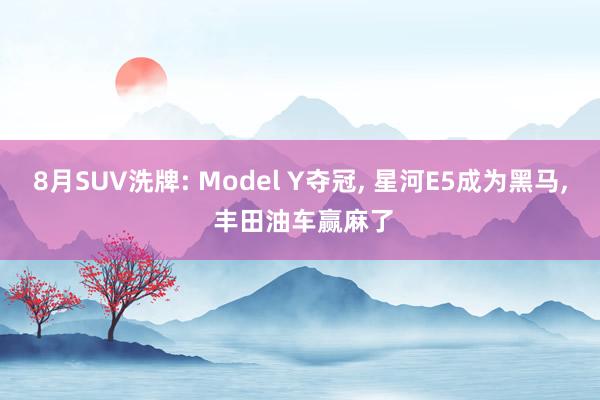 8月SUV洗牌: Model Y夺冠, 星河E5成为黑马, 丰田油车赢麻了