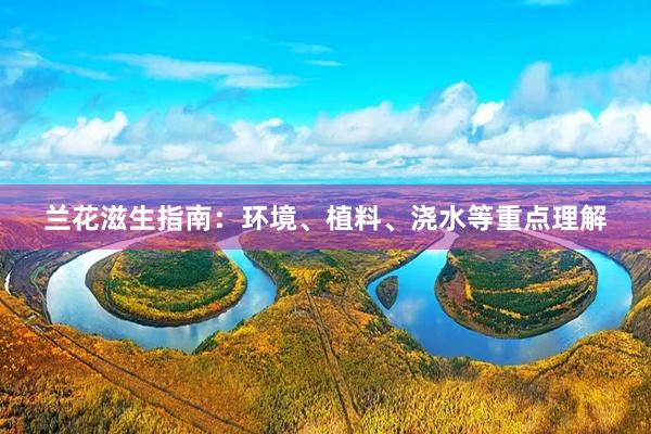 兰花滋生指南：环境、植料、浇水等重点理解