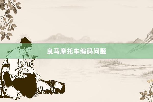 良马摩托车编码问题