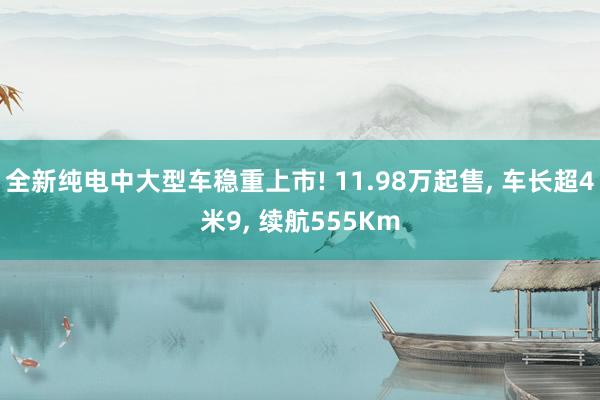 全新纯电中大型车稳重上市! 11.98万起售, 车长超4米9, 续航555Km