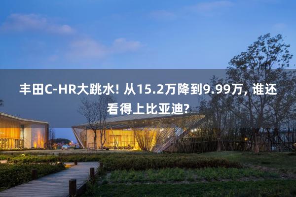 丰田C-HR大跳水! 从15.2万降到9.99万, 谁还看得上比亚迪?
