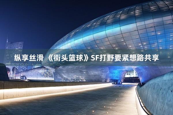 纵享丝滑 《街头篮球》SF打野要紧想路共享