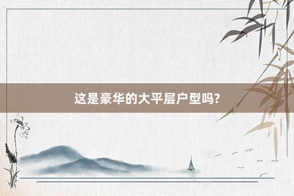 这是豪华的大平层户型吗?
