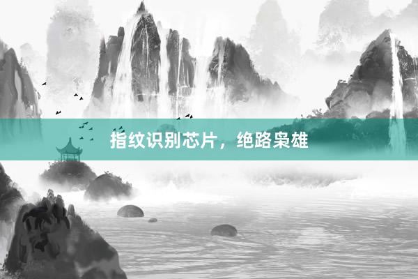 指纹识别芯片，绝路枭雄