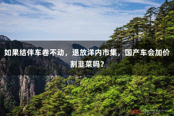 如果结伴车卷不动，退放洋内市集，国产车会加价割韭菜吗？