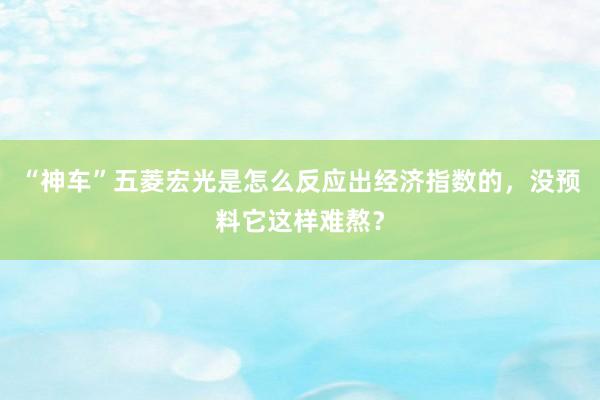“神车”五菱宏光是怎么反应出经济指数的，没预料它这样难熬？
