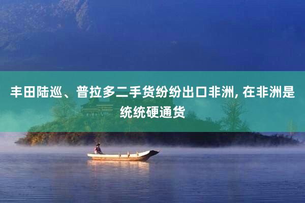 丰田陆巡、普拉多二手货纷纷出口非洲, 在非洲是统统硬通货