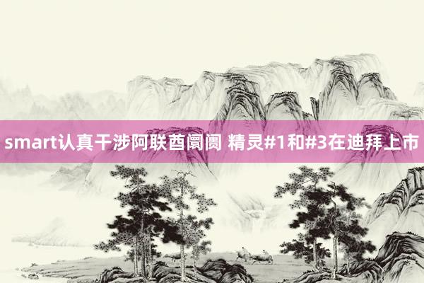 smart认真干涉阿联酋阛阓 精灵#1和#3在迪拜上市