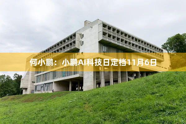 何小鹏：小鹏AI科技日定档11月6日