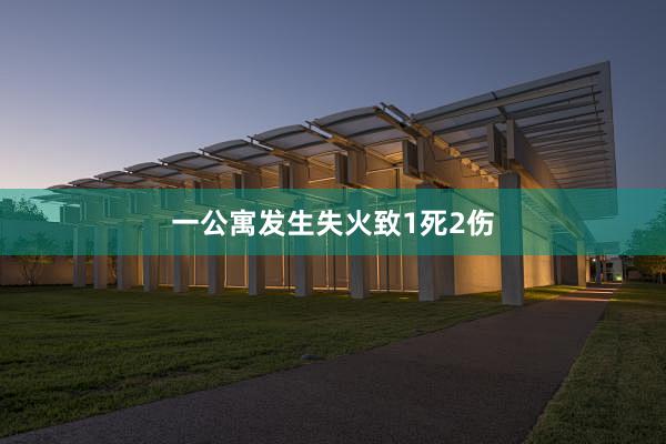 一公寓发生失火致1死2伤