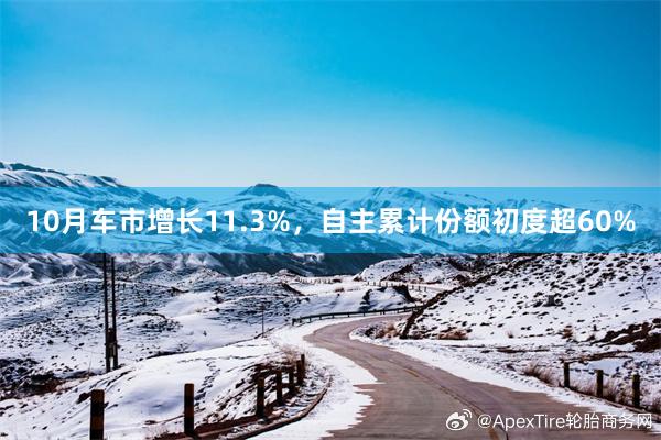 10月车市增长11.3%，自主累计份额初度超60%