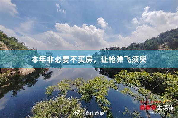 本年非必要不买房,让枪弹飞须臾