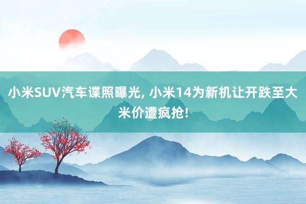 小米SUV汽车谍照曝光, 小米14为新机让开跌至大米价遭疯抢!