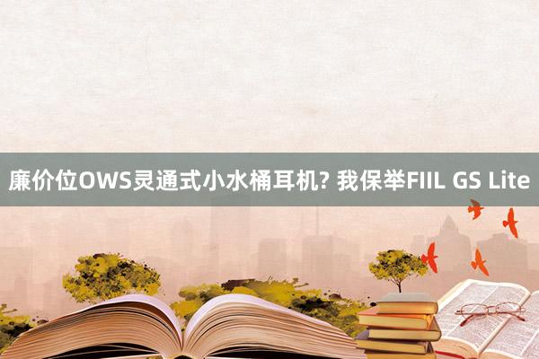 廉价位OWS灵通式小水桶耳机? 我保举FIIL GS Lite