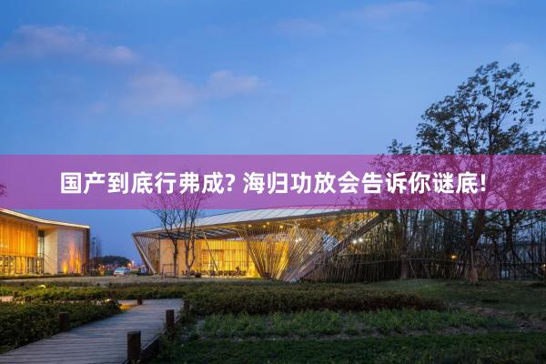 国产到底行弗成? 海归功放会告诉你谜底!