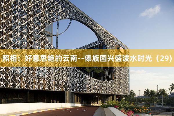 照相：好意思艳的云南--傣族园兴盛泼水时光（29)