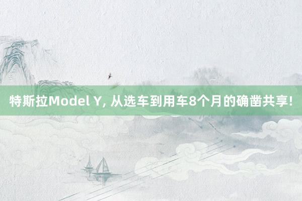 特斯拉Model Y, 从选车到用车8个月的确凿共享!
